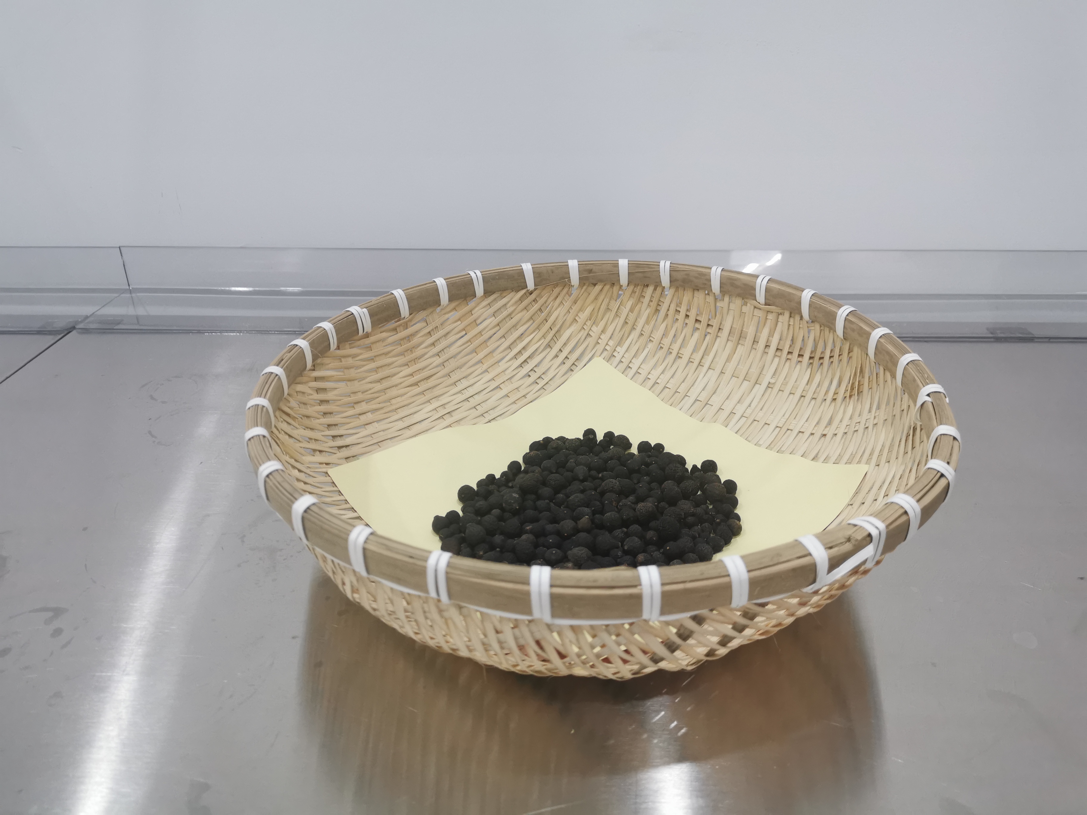 2023年新会东甲柑胎