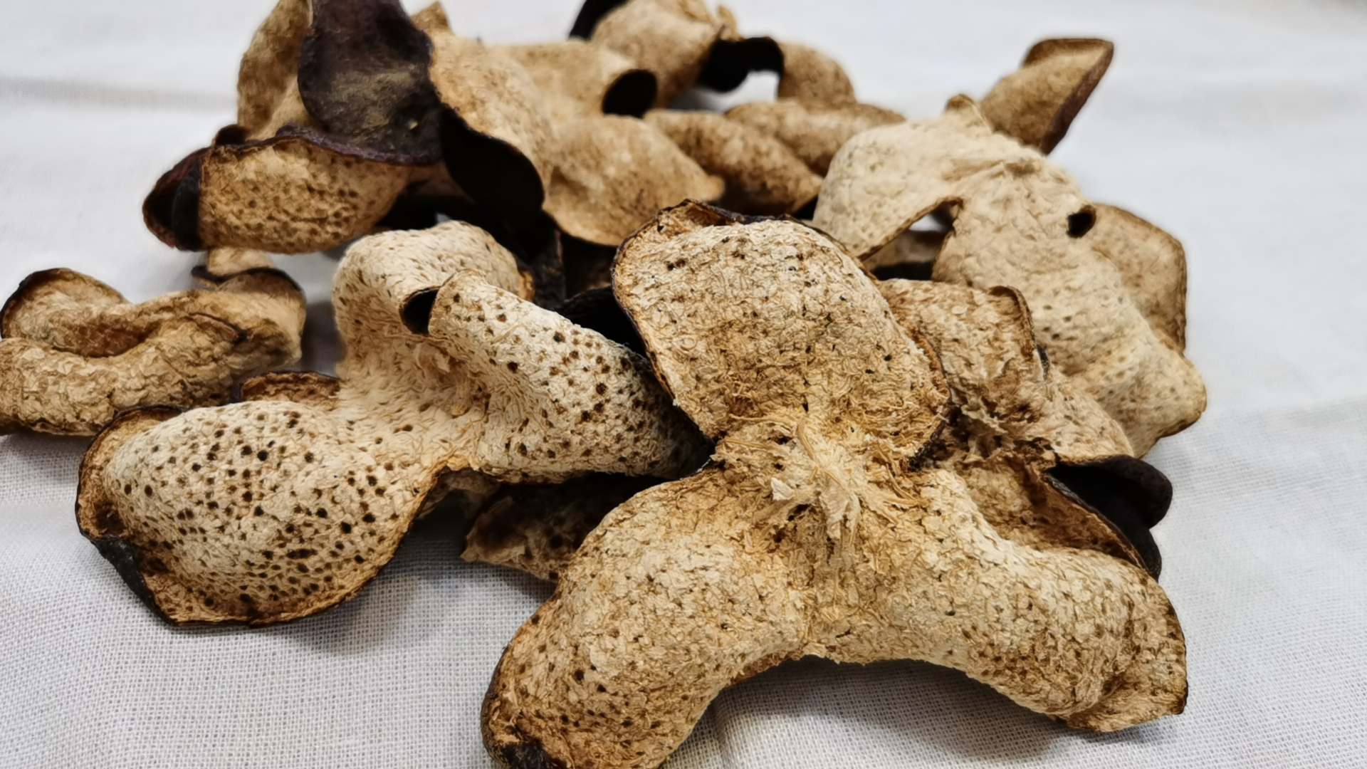 2019年驳枝大红皮