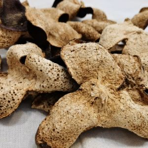 2019年驳枝大红皮