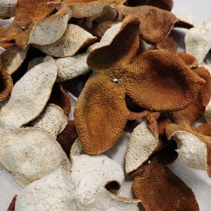 2020年驳枝大红皮