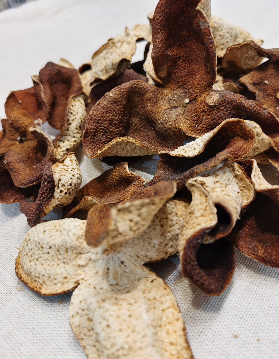 2020年南坦圈枝大红皮